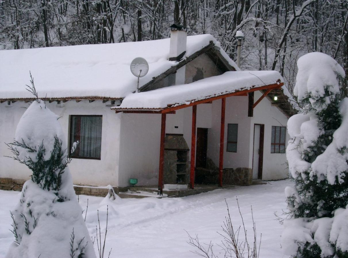 Holiday Home Tanevi Tryavna Esterno foto